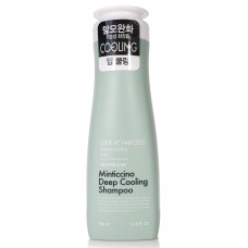 Охлаждающий шампунь для жирной кожи головы  Daeng Gi Meo Ri Look At Hair Loss Minticcino Deep Cooling Shampoo
